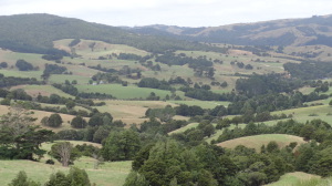 Pastureland like in the UK