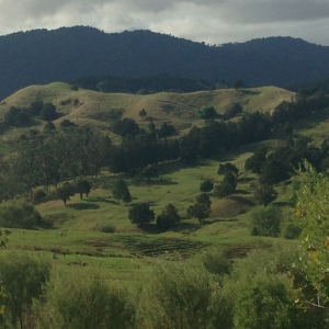 Pastureland