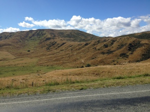Heathland like in Scotland